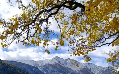 Golden Autumn or Wintry Weather Ahead