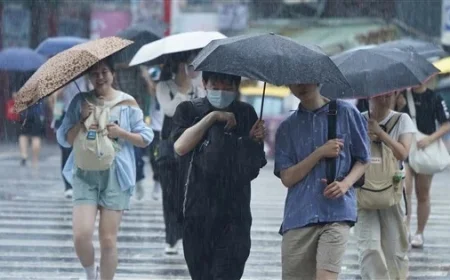 Northeast Monsoon Brings Back-to-Back Chill Expect Windward Regions to Stay Wet and Cool with Northern Taiwan Temperatures Dropping to 20°C Over the Next Week