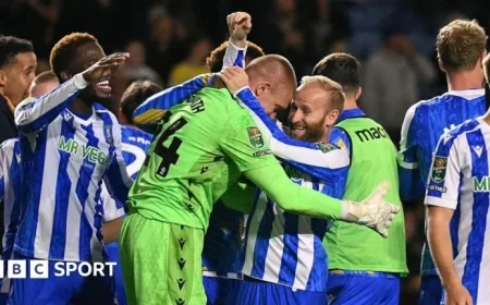 What’s Next for Sheffield Wednesday on This Bittersweet Day?