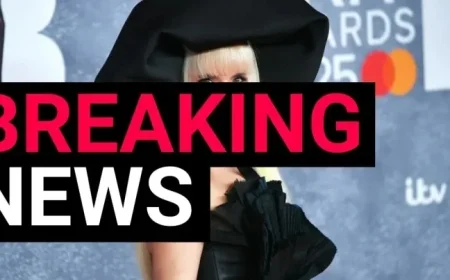 Paloma Faith reveals pregnancy at 44 with baby bump photo after overcoming IVF challenges