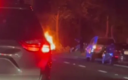 Teenager Killed in Fiery Elk Grove Boulevard Crash, Police Report