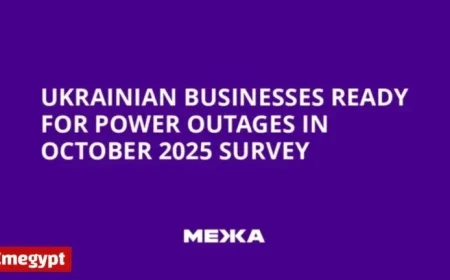 Ukrainian Businesses Brace for October 2025 Power Outages: Survey
