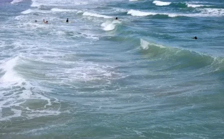 Florida Residents Urged to Avoid Water Due to Safety Concerns