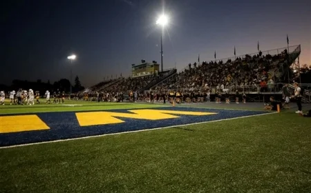 2025 Playoff Projections and Seeding for Toledo-Area Teams