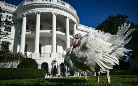 Thanksgiving Weather Forecast Across All States by Farmers’ Almanac