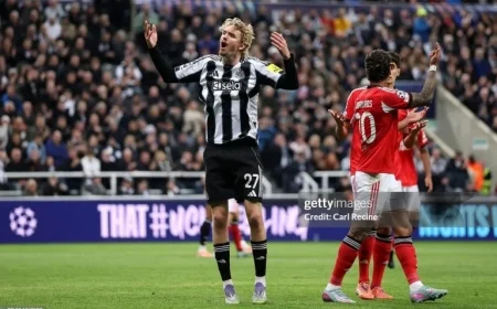 Marco Silva identifies Newcastle’s major summer signing as a significant threat