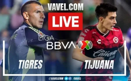 Tigres vs Xolos: Live Score Updates for Liga MX Match