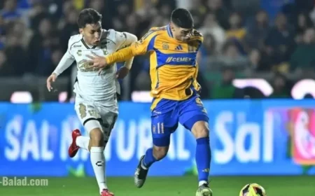 ChatGPT AI Foresees Result of Tigres UANL vs. Tijuana Clash