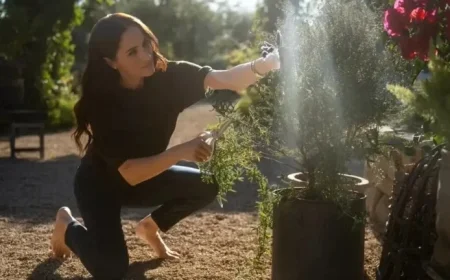 Meghan Markle Embraces Barefoot Wellness Trend with Others Joining In