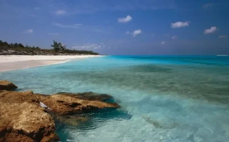 Bahamas Authorities Arrest Eight Americans for High-Powered Weapons Cache