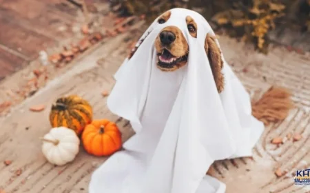 Pets Invited for Trick-or-Treating at Santa Clarita Valley PetSmart Locations