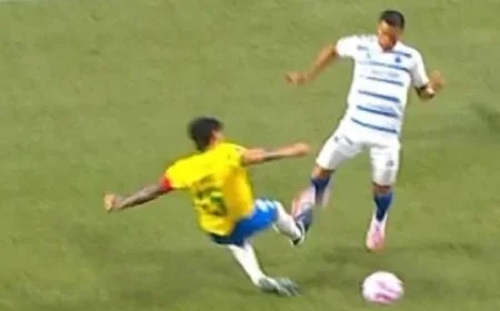 Are Ex-Referees Unanimous on Controversial Call in Palmeiras vs Cruzeiro Clash