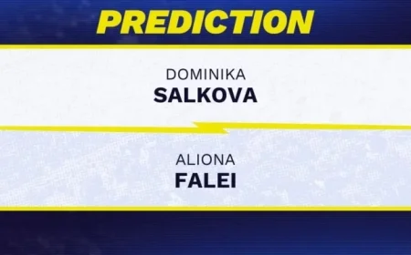 Dominika Salkova vs. Aliona Falei: WTA Jiujiang 2025 Predictions & Odds