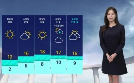 Weather Alert Feel Like Temperature Drops to 1 Degree as Cold Peaks Tomorrow Morning