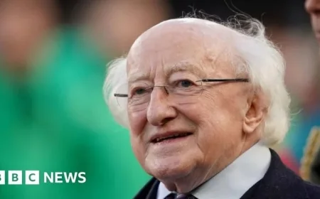 President Michael D Higgins undergoes overnight hospital stay for treatment