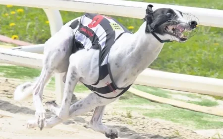 Greyhound Movie Release Date Officially Announced