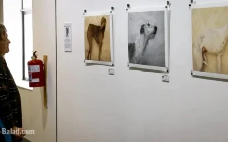 South African Greyhounds Embrace New Roles in Art Initiative