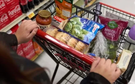 Trump Administration Halts Federal Food Aid Distribution Starting November 1