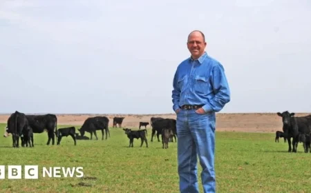 Trump’s Plans: Will They Reduce Surging US Beef Prices?
