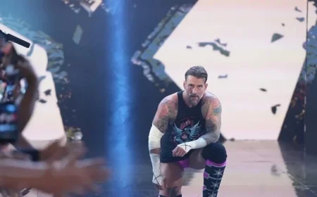 WWE’s CM Punk Hints Retirement After Emotional Japan Tour