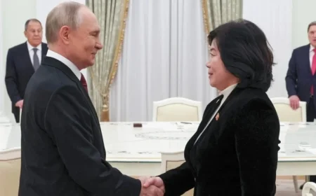 North Korea’s Foreign Minister Meets Putin During Russia Visit
