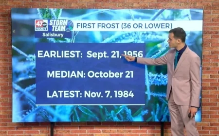 Delmarva Frost Climatology: Weather Insights