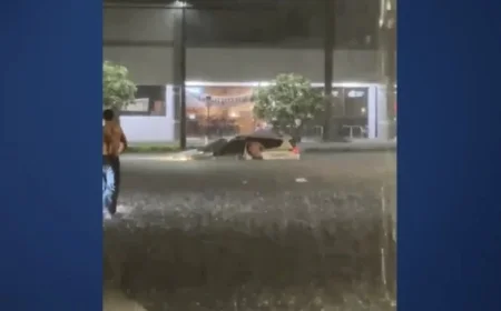 Boca Raton Teen Rescues Multiple People During Flash Flood