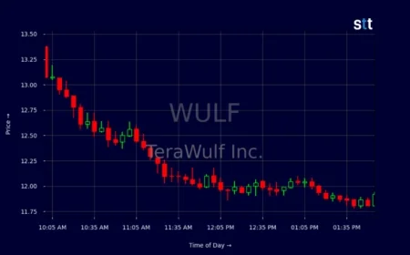 Why Are WULF Shares Declining?