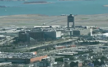 Indian National Allegedly Stabs Minors with Fork, Diverts Flight to Boston