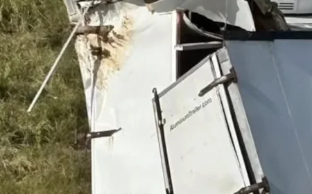 Truck with Infected Lab Monkeys from Tulane University Crashes on I-59