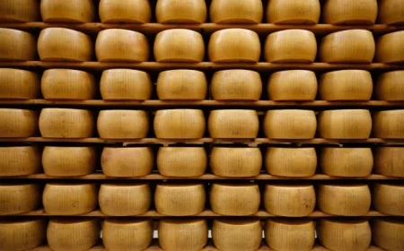 Washington Creamery Recalls Cheese Wheels After E. Coli Infections Reported