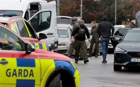 Five-Hour Standoff in Co Meath Leads to Detention of Young Man by Gardaí