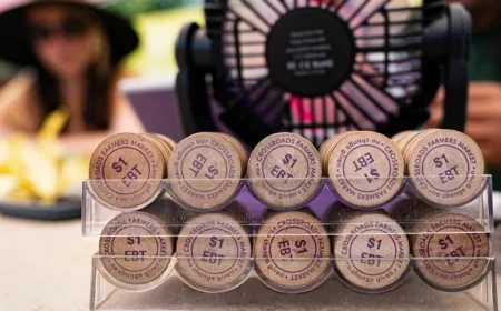 States launch lawsuit against Trump administration over impending multibillion-dollar cuts to SNAP food stamps