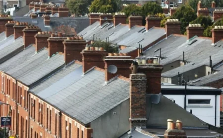 Urgent Reminder for Households: Only One Week Remaining to Submit Local Property Tax Returns