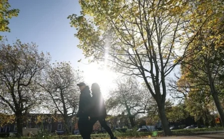 Ireland Weather Alert: Status Yellow Rain and Wind Warnings Issued for Multiple Counties Today