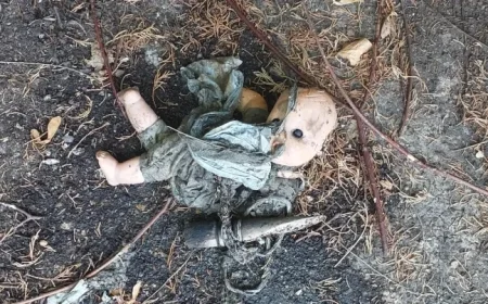 Bizarre Discoveries: Pork Chop and Toy Doll Uncovered in Anglian Water Sewer as Residents Advised to Bin It