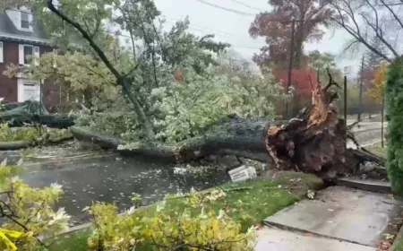 Heavy Rain and Winds Disrupt Transit, Cause Damage in NYC and NJ