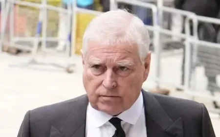 October 2025 Royal Family Favorability Rankings Revealed