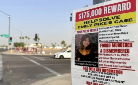 Turquoise Alert in Arizona: Over 300 Reported Missing