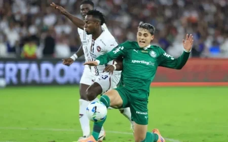 Palmeiras Battles LDU Quito: Copa Libertadores Betting Odds and Predictions