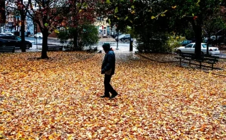 Philly to Experience Gusty Halloween Winds into Evening