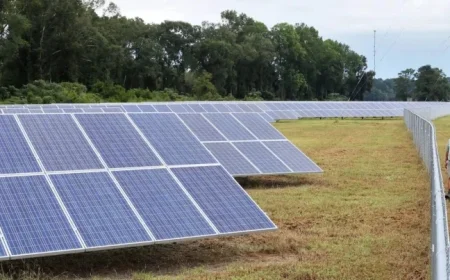 Georgia Leads Southern Solar Growth, Report Reveals