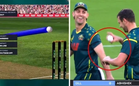 Cricket World Criticizes India for DRS Mistake