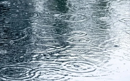 Waterloo Weather Forecast for Tomorrow: Expect Windy Conditions and Morning Showers