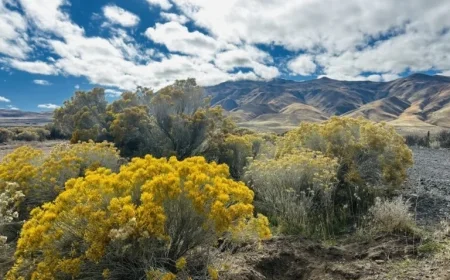 Nevada Celebrates 161 Years with Gold, Ghosts, and UFO Mystique