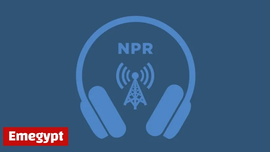 Local Public Media Stations Face Challenges Amid Federal Budget Cuts: Emotional Impact Unveiled