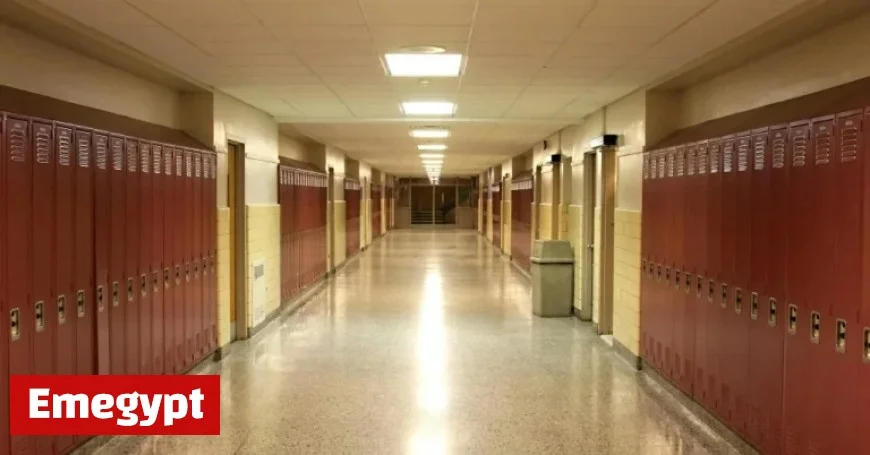 Opinion Explore Ways to Show Gratitude to Local Custodians This Week