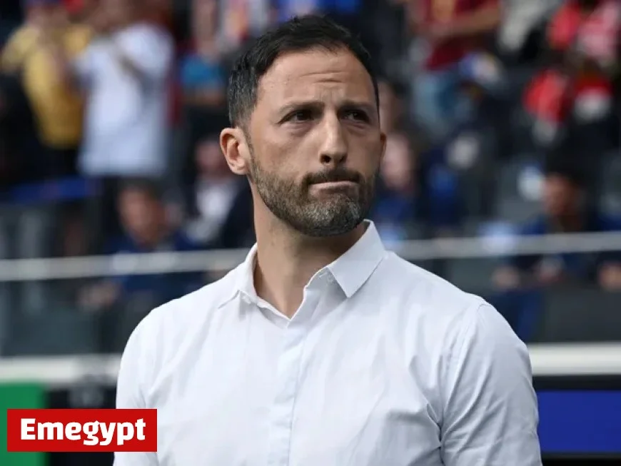 Fenerbahce vs Nice Preview: Predictions, Team News, and Lineup Insights