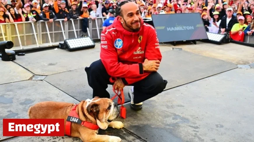 Lewis Hamilton Overwhelmed by Support from Fans in Singapore After Loss of Beloved Dog Roscoe
