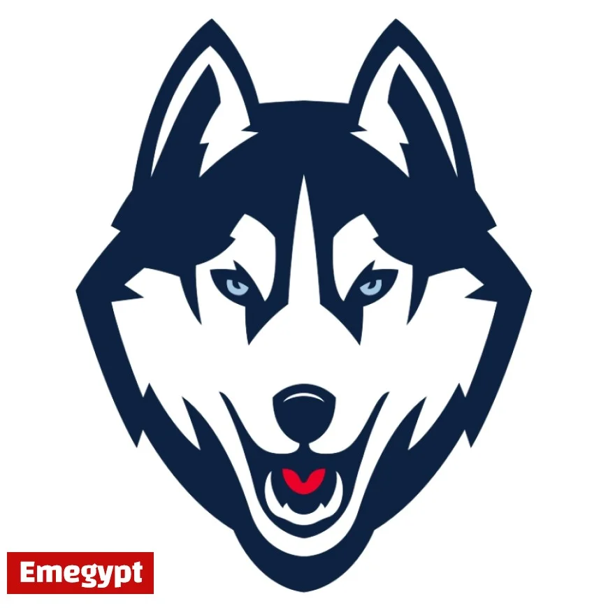 Latest Updates and Exciting News About UConn Huskies